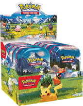 Load image into Gallery viewer, PokemonMegaEvolutionMinitinDisplay