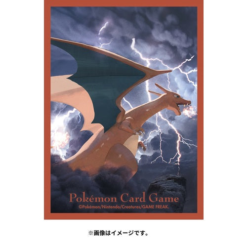 Pokemon Card Game Deck Shield Flying Charizard